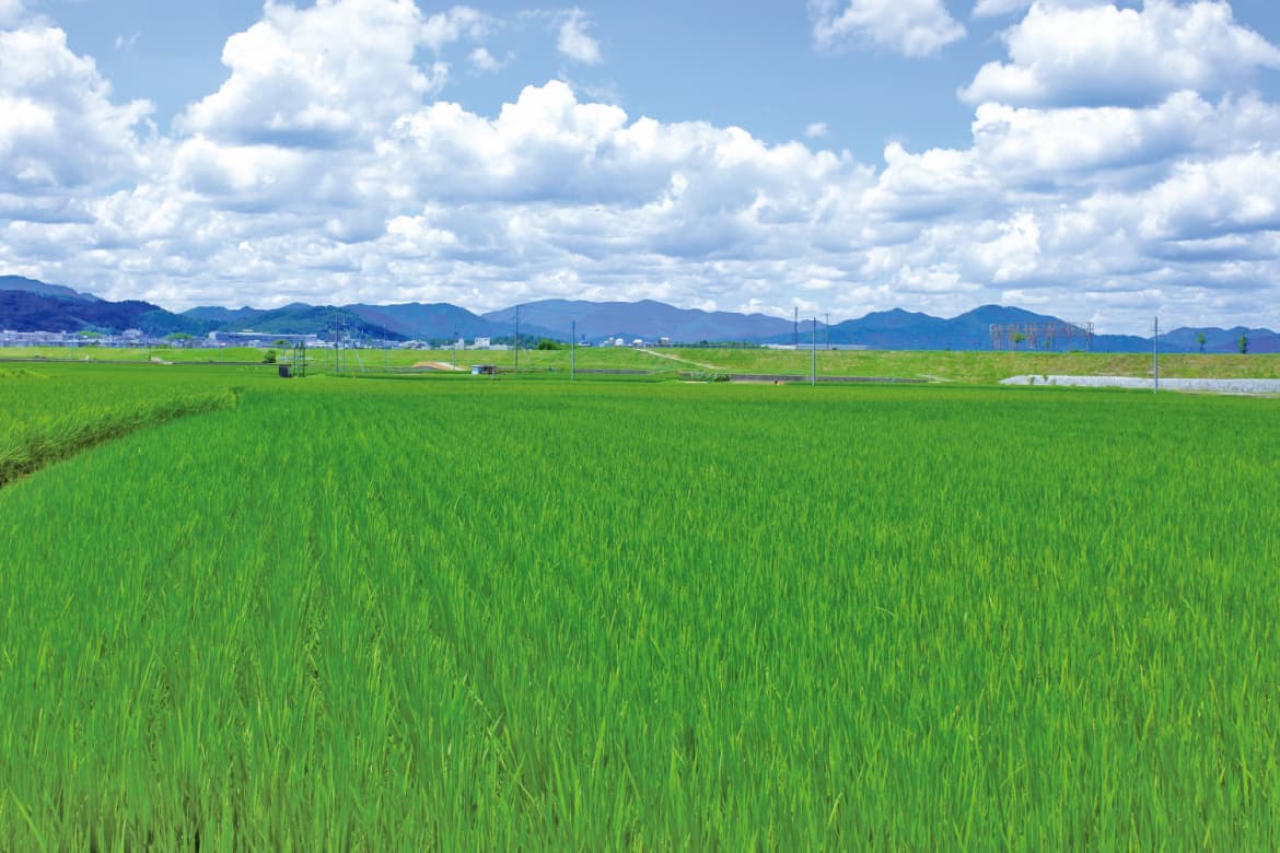 ロクジカ ロクジカ